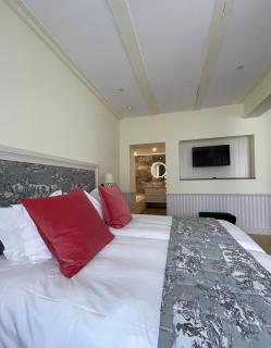 Hotel Regina - Wengen - 5
