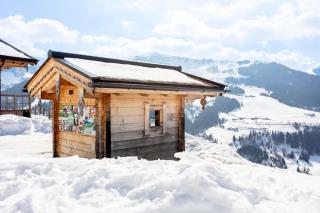 Apartment Grammlergut - Maria Alm am Steinernen Meer - 1