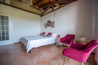 Rosè House - Camino - 7