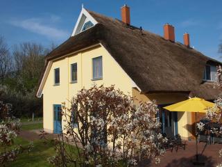 Sonniges Reetdachhaus - Puddemin - 8
