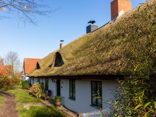 Ferienpark Vieregge - Haus 1 D - Vieregge - 9