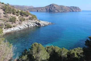 Royal Marine playa calme et cosy - 4