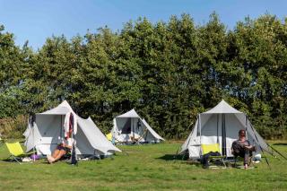 BlueCAMP Oerol25- Tent&Breakfast - West-Terschelling - 0