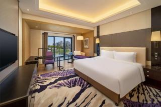 Radisson Blu Hotel Wuhan ETD Zone - Wuhan - 4