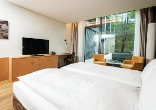 Tailormade Hotel SIHLPARK Schindellegi - Schindellegi - 4