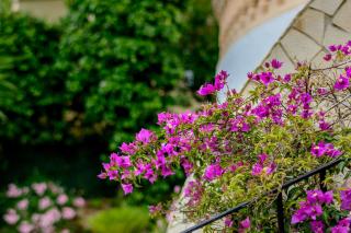 3010 - Schönes mediterranes Ferienhaus in Costa de la Calma - Costa de la Calma - 1