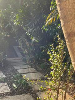Ladybird - Durban - 1