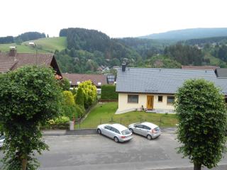 Ferienwohnung Schützenklippe G-II-2-4 - Altenau - 9