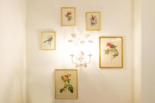 Hotel Beau Séjour Lucerne - Lucerne - 6