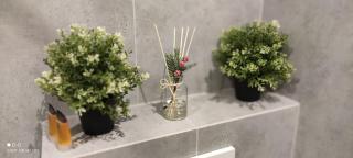 Apartament Szafirowy MULTI HOUSE - Rzeszów - 6