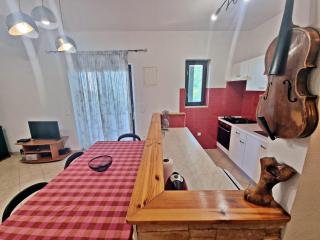 Apartman Irena with terase end private parking - Okrug Donji - 5