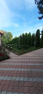 Casa Bițina - 6