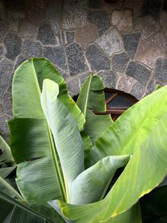 Casa Qatzij - Guest House, Lake Atitlan - 5