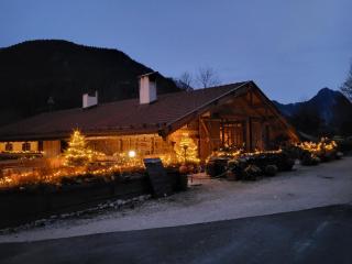 Nickis Bergcamp - Schneizlreuth - 4