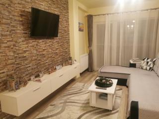 Matei Residence - Sibiu - 3