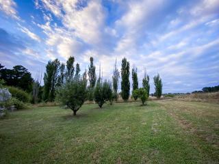 The Pine Tree Cottage - Charming cottage close to Canberra - 9
