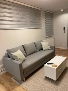 APARTAMENTY GUZIK - Krosno - 2