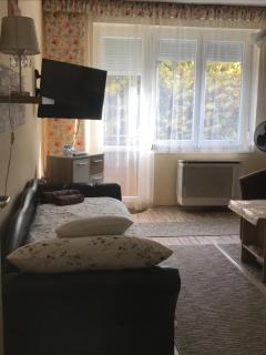 Melinda Apartman - Kaposvár - 8