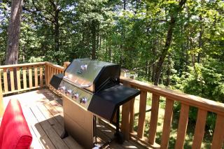 Pine Crest Lodge - Eureka Springs - 8