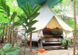 Palmar Beach Lodge - 9