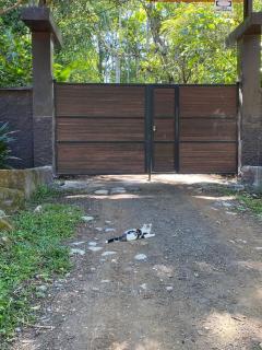 The Temple II, Mindo - Mindo - 8