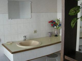 Maison rustique avec salle de jeux, jardin, 5 chambres près du Zoo de Beauval - FR-1-591-34 - 9