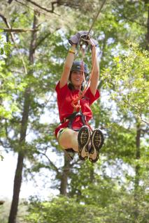 Callaway Resort & Gardens - 7