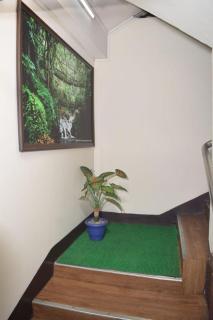 White Rabbit Guest House - Shillong - 2