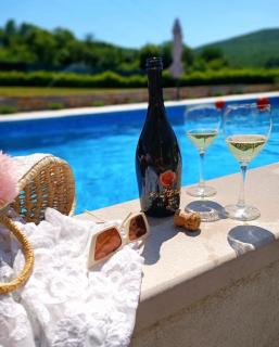 Villa Viktoria with private pool, barbecue, gym, children's playground - Krivodol - 8