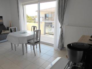 Appartement 2 pièces, terrasse, parking privé, proche plage et centre, Grau-du-Roi - FR-1-250-174 - 4