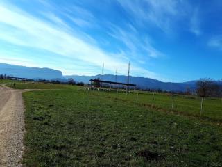 Apartma Juli - Žirovnica - 1
