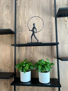 Apartament Rzeszów - Rzeszów - 2