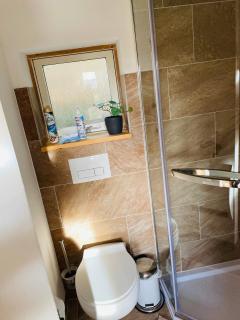 Tiny House/Waldhaus - Westerwald - - 1