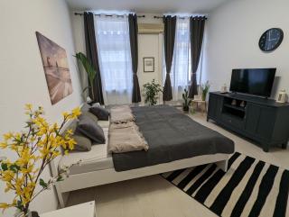 Schönes Appartment im Zentrum von Koblenz II - Coblença - 7