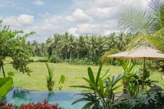 Mancur Guesthouse - 9