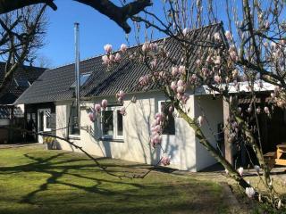 De Hazeldonck - Gemert - 7