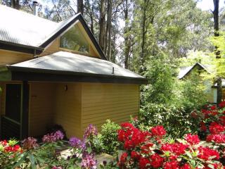 Lochiel Luxury Accommodation - Olinda - 7