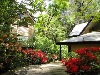 Lochiel Luxury Accommodation - Olinda - 6