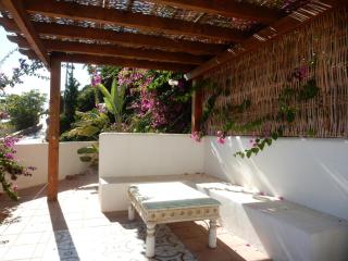 BEACH VILLA ,Nerja, Seaview, Pool, 3 bedrooms, huge terrace and garden - Nerja - 7