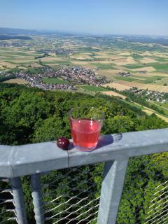 Blick ins Wutachtal - 7