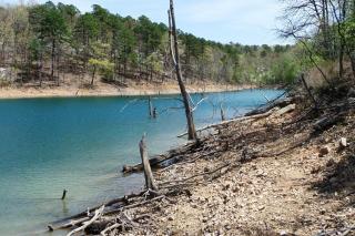 War Eagle - Lake House - Rogers - 6