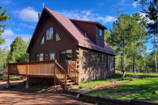 Divide Cabin in the Heart of Colorful Colorado! - 0