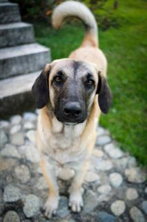 La Perla Negra - Black Pearl Eco Hostel - 1