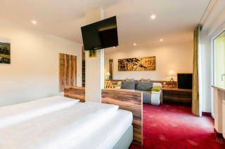 Landhotel GrünWies -Bonsai-Wellness Garni - Lohberg - 9