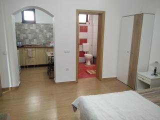 Casa Sabina - Mediaş - 8