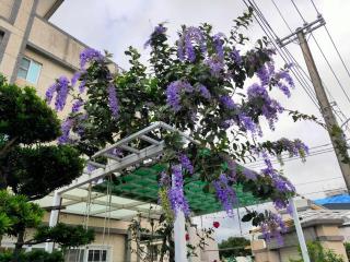 Ido Homestay - Taitung City - 9