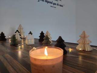 La Loge en Or - Parking public - Triplex - Proche centre et autoroute - 2