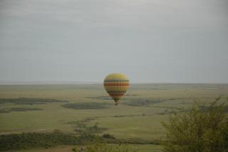 Mara Serena Safari Lodge - Lolgorien - 5