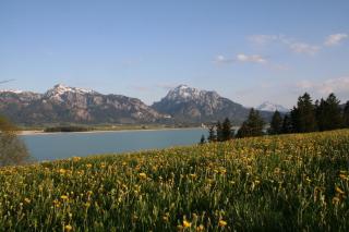 Salenberghof Ferienwohnung Bergsee - Rieden - 1