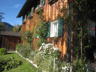 Ferienwohnung Rehkoglgut - Bad Goisern - 7